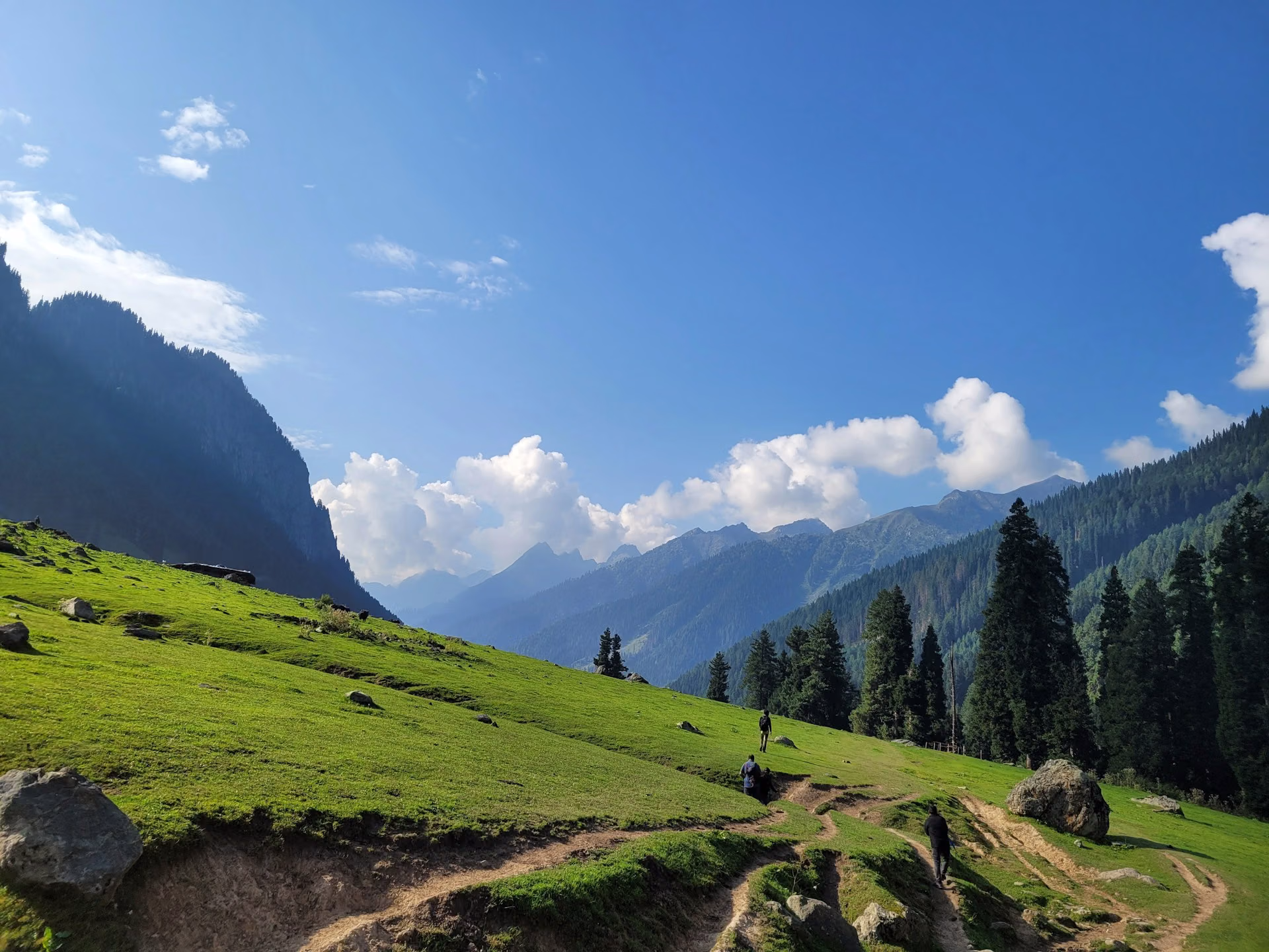 Kashmir Great Lakes Trek 9 Days 8 Nights