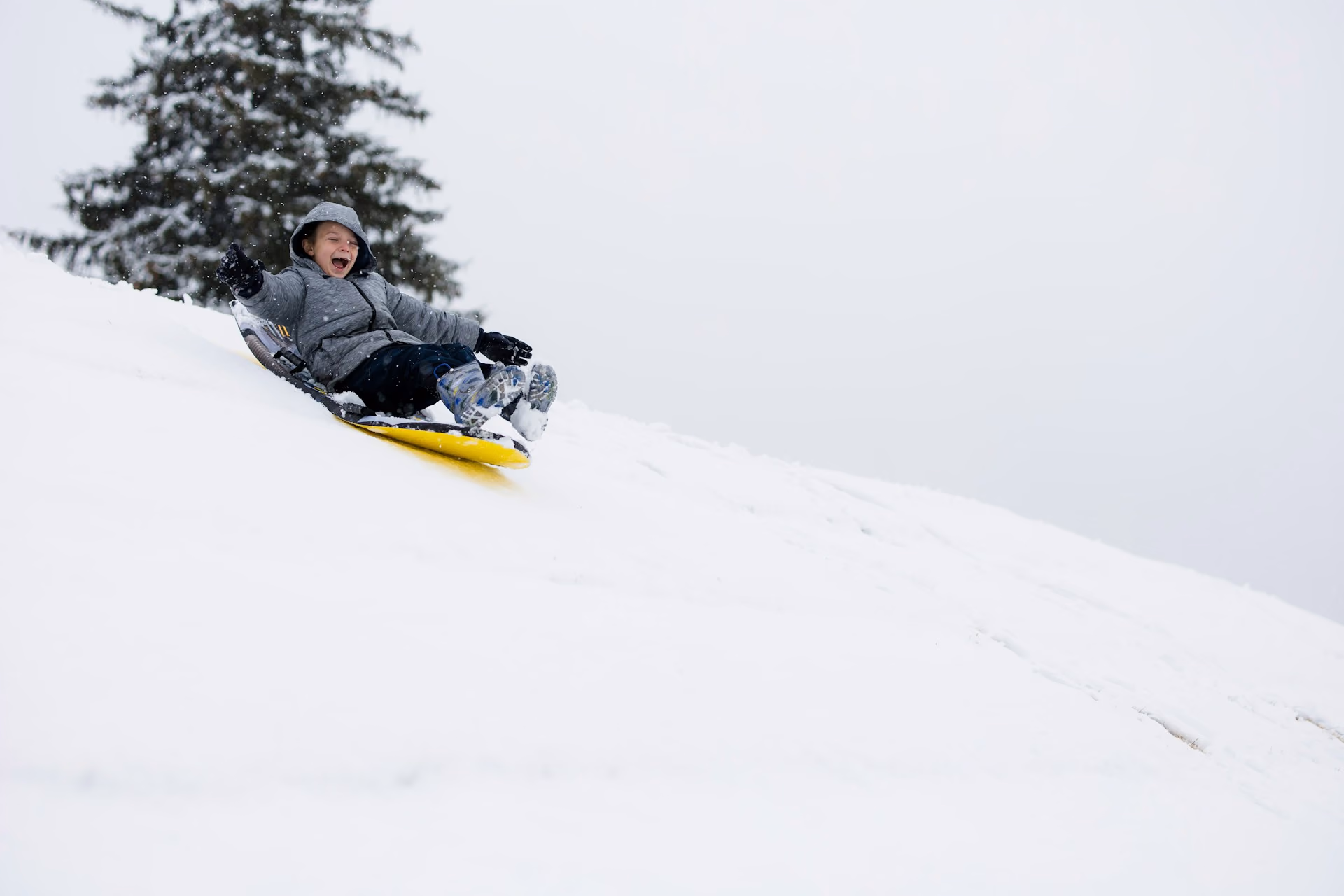 Sledge Ride
